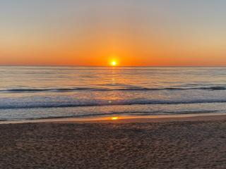 Cabin By The Sea - Ormond Beach - 2