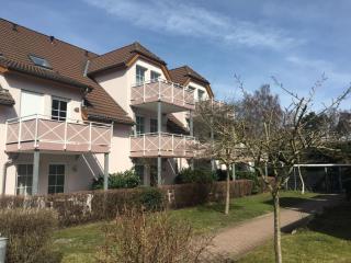 Ferienwohnung Kleine Brise - Dierhagen - 5
