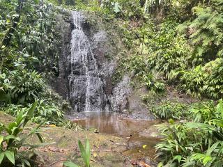 La Tierra Del Encanto - 4