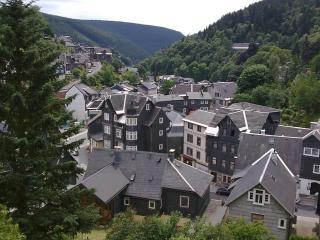 Waldblick - a48825 - 7