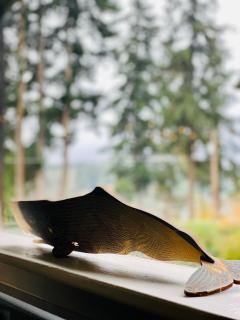 Water view farmhouse walk to beach and coffee - Vashon - 3