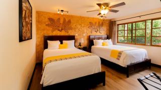 Buena Vista Chic Hotel - Alajuela - 1
