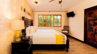 Buena Vista Chic Hotel - Alajuela - 7