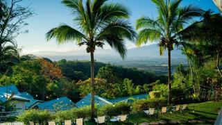 Buena Vista Chic Hotel - 9