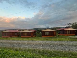 Cabañas venado 2 - - 9