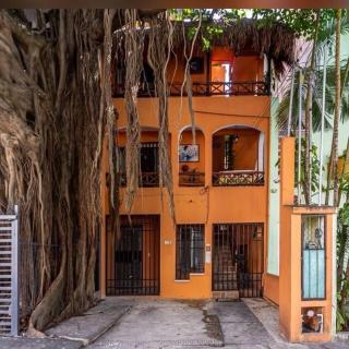 Live Like a Local, Rooftop Studio in central Playa - Playa del Carmen - 7