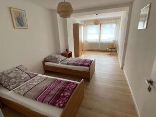 Holiday home with 4 rooms and terrace - Osann-Monzel - 1