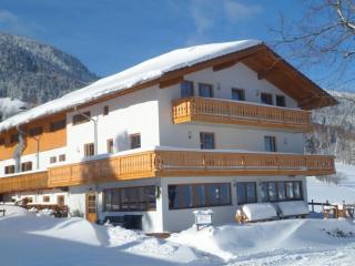 with mountain view Comfortable holiday residence - Brannenburg - 8
