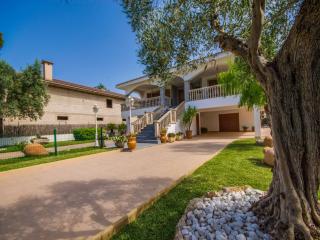 Luxury villa in Alcudia with private pool - Alcúdia - 2