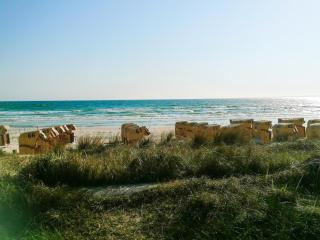 Holiday apartment Seelöwe Haffkrug Strandallee 88 b - Haffkrug - 5