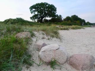 Beach nest Comfortable holiday residence - Rettin - 6