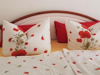 above the studio 2 Comfortable holiday residence - Pirna - 4