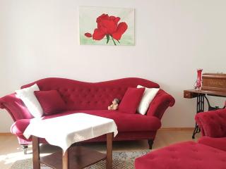 above the studio 2 Comfortable holiday residence - Pirna - 6