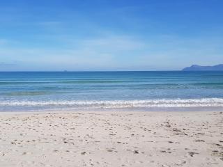 Seafront apartment, 200m from beach - Port d'Alcudia - 4