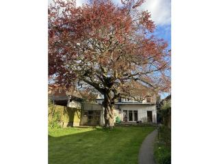 Ellis groot Stuuv Comfortable holiday residence - Garding - 2