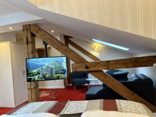Stadtvilla Laux Comfortable holiday residence - Merzig - 8