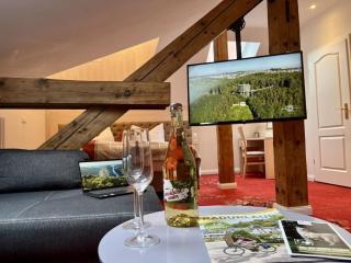Stadtvilla Laux Comfortable holiday residence - Merzig - 9