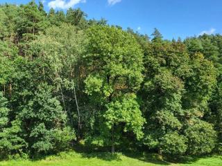 Am Wald Comfortable holiday residence - Unterwellenborn - 4