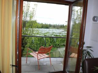 Lake Constance Garden Comfortable holiday residence - Tettnang - 3