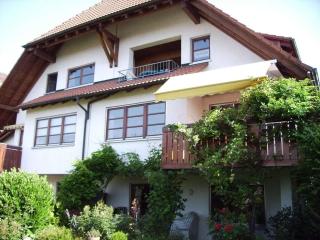 Castle View Comfortable Holiday Residence - Markdorf - 9