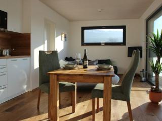 Holiday apartment in Vogtsburg-Bischoffingen with 1 bedroom - Bischoffingen - 4