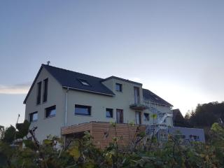 Holiday apartment in Vogtsburg-Bischoffingen with 1 bedroom - Bischoffingen - 7