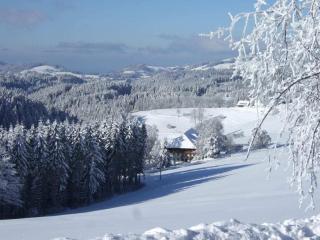 on the Willmann farm - Erlenbach - 4
