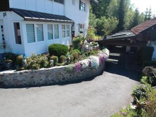 Waldferienhof Griedl Comfortable holiday residence - Spiegelau - 5