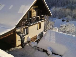 Waldferienhof Griedl Comfortable holiday residence - Spiegelau - 3