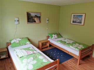 Haus Post Ground floor apartment Comfortable holiday residence - Todtnau - 5