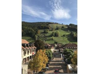 Haus Post Ground floor apartment Comfortable holiday residence - Todtnau - 3
