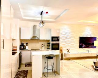 Stunning 2 bedroom Flat - Lekki - 8
