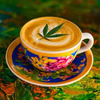 Santiago Dc Hostal 420 weedfriendly - Cali - 9