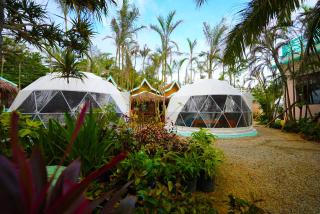 Carabao Island Beach Camp - San Jose - 8