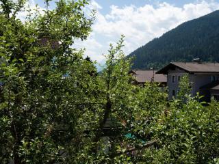 Apartment Bär Comfortable holiday residence - Eben im Pongau - 7