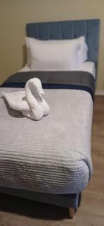 Sky's Villa Resort - 9