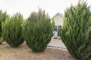 Cosy and historical one bedroom apartment, 5kms from Castlemaine, 2 kms from the Calder - Barkers Creek - 8