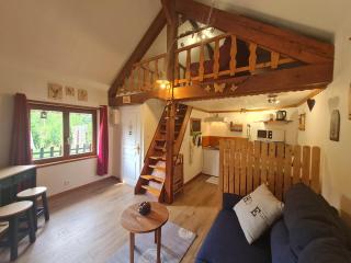 Chalet Nina: Havre de paix en bord de rivière avec climatisation - FR-1-589-794 - Anould - 2