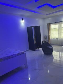 The Diasporan Luxury MedSpa suites - Awoyaya - 8