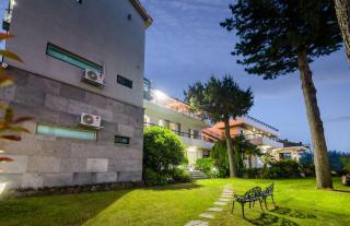 Harry & Sodam Pension - Jeju-stad - 8