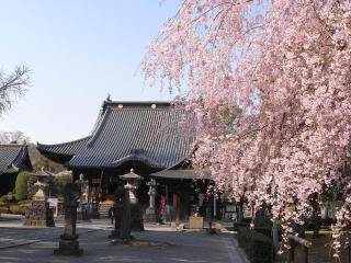 Hotel Wakasa - Ashikaga - 5