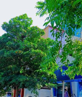 Velachery Private Room - Chennai - 1