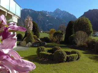 Apart Heim - Type A Comfortable holiday residence - Ramsau - 0