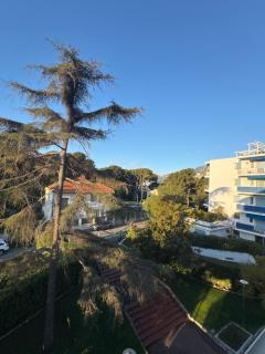 CAP MARTIN Luxury - Parking - Terrasse - Piscine - Bouteille de Prosecco - Roquebrune-Cap-Martin - 1