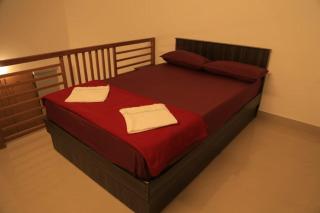 Blizzard Pool Villa - 3