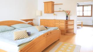 Zwei Schlafzimmer Ferienapartment Anna am Stubenbergsee inklusive vier E-Bikes - Stubenberg - 9