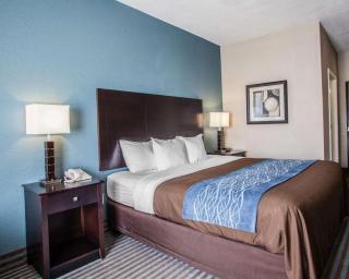 Comfort Inn Lees Summit - Hwy 50 & Hwy 291 - Lees Summit - 3