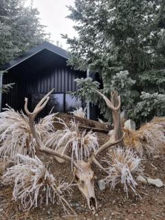 Hut on The Grove - Twizel - 9