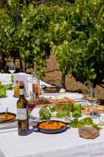 Domaine de Peretti della Rocca - Figari - 5