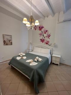 My Monopoli- Casa dei Fiori "Orchidea" Centro Storico - Monopoli - 7